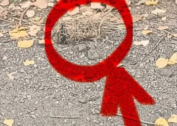 Черговий рівень підлості росіян. Тепер міни маскують під звичайну суху траву!