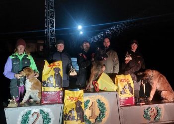 Беша з Павлограда – найкраща собака-рятувальниця України! І тепер її чекає чемпіонат світу!